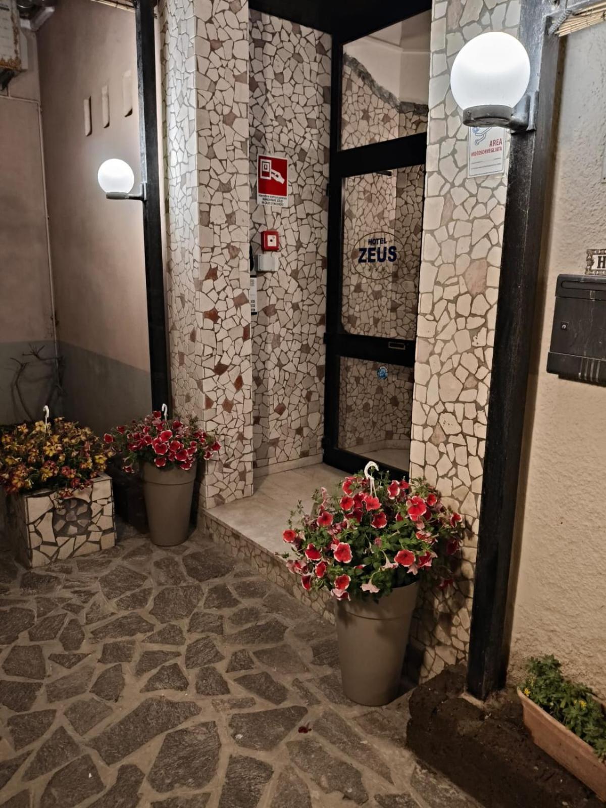 Hotel Zeus Lido di Classe Extérieur photo